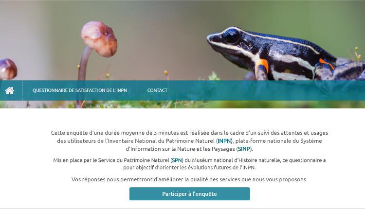 Responsive image1
